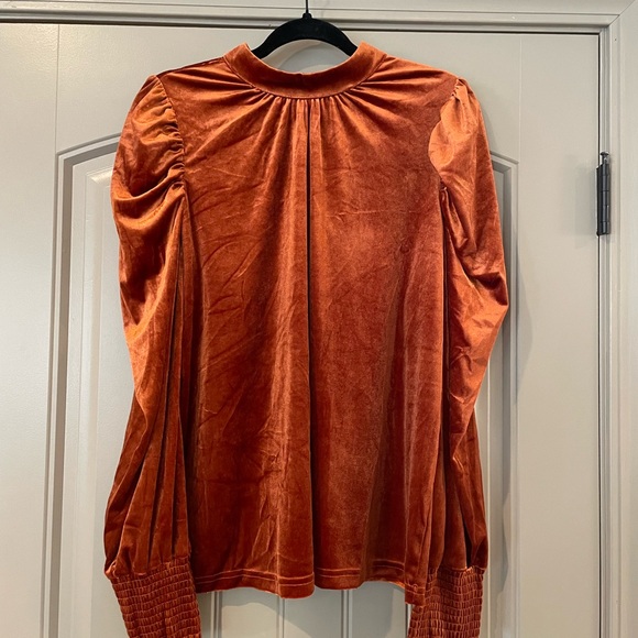 Chic Velvet Rust Women's Blouse - Picture 2 of 5